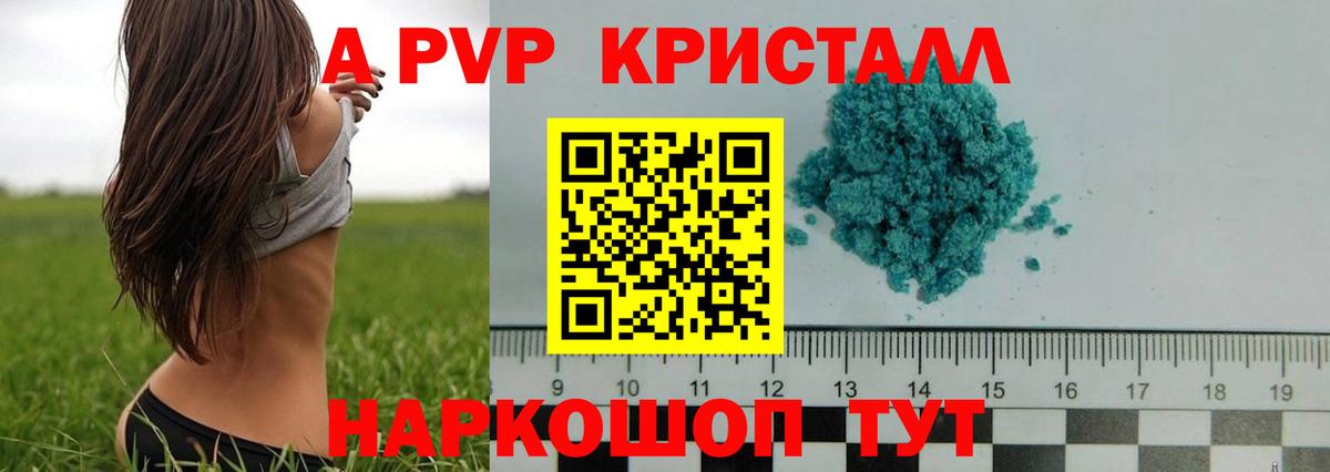 APVP СК Зима