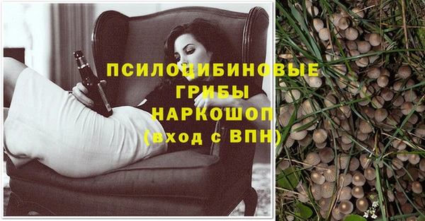 гидропоника Бронницы