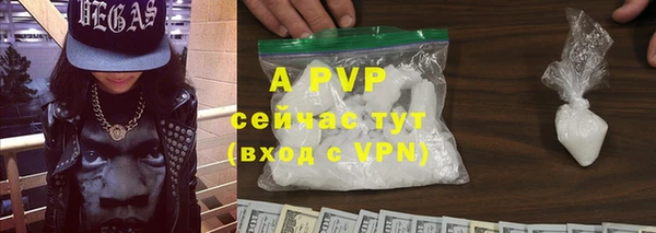 спайс Бородино