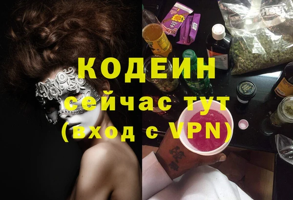 гидра Богданович