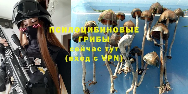 а пвп мука Бугульма