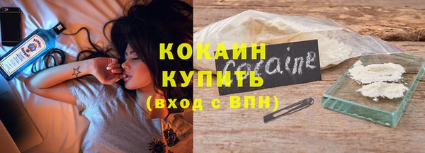 спайс Бородино