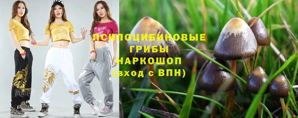 мдпв Армянск