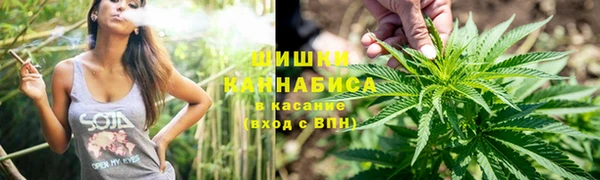 гидропоника Бронницы