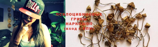 марихуана Богородицк