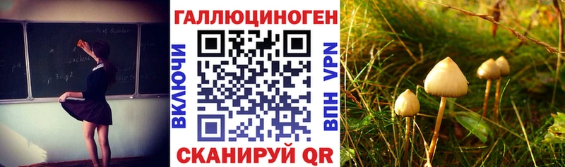 маркетплейс клад  Зима  Галлюциногенные грибы GOLDEN TEACHER 