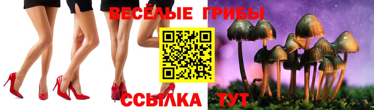 Галлюциногенные грибы GOLDEN TEACHER  купить закладку  Зима  Вход с VPN 