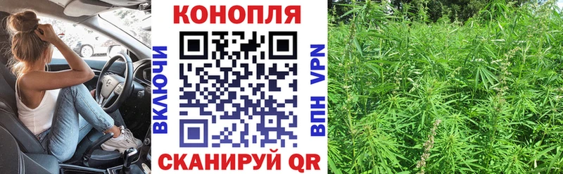 Шишки марихуана ГИДРОПОН Зима
