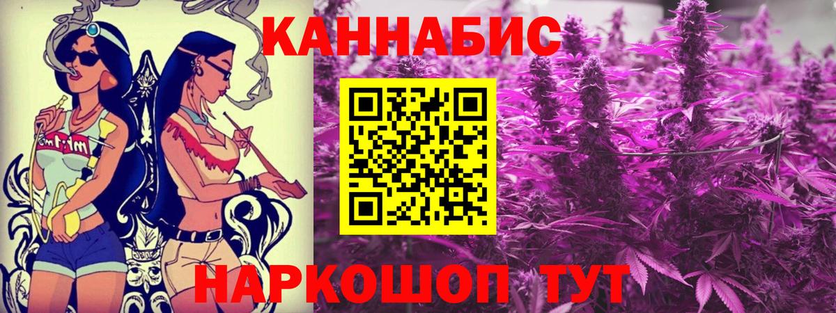 Конопля конопля Зима